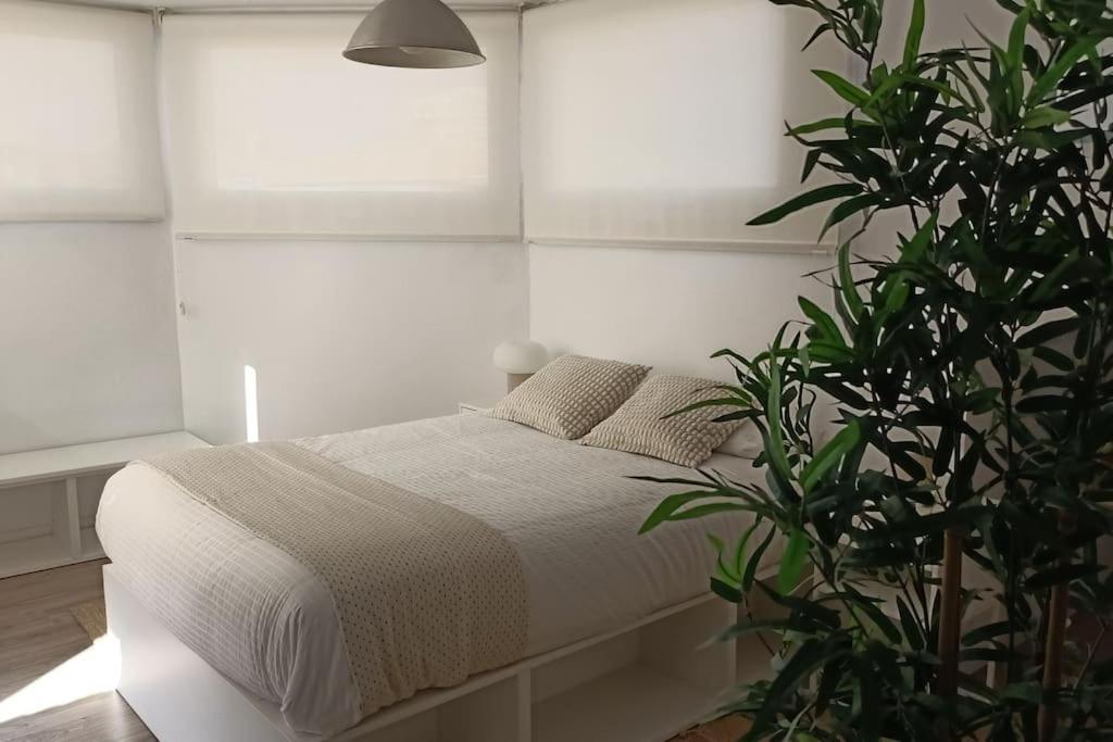 Apartmán Salitre Malaga Center Exteriér fotografie