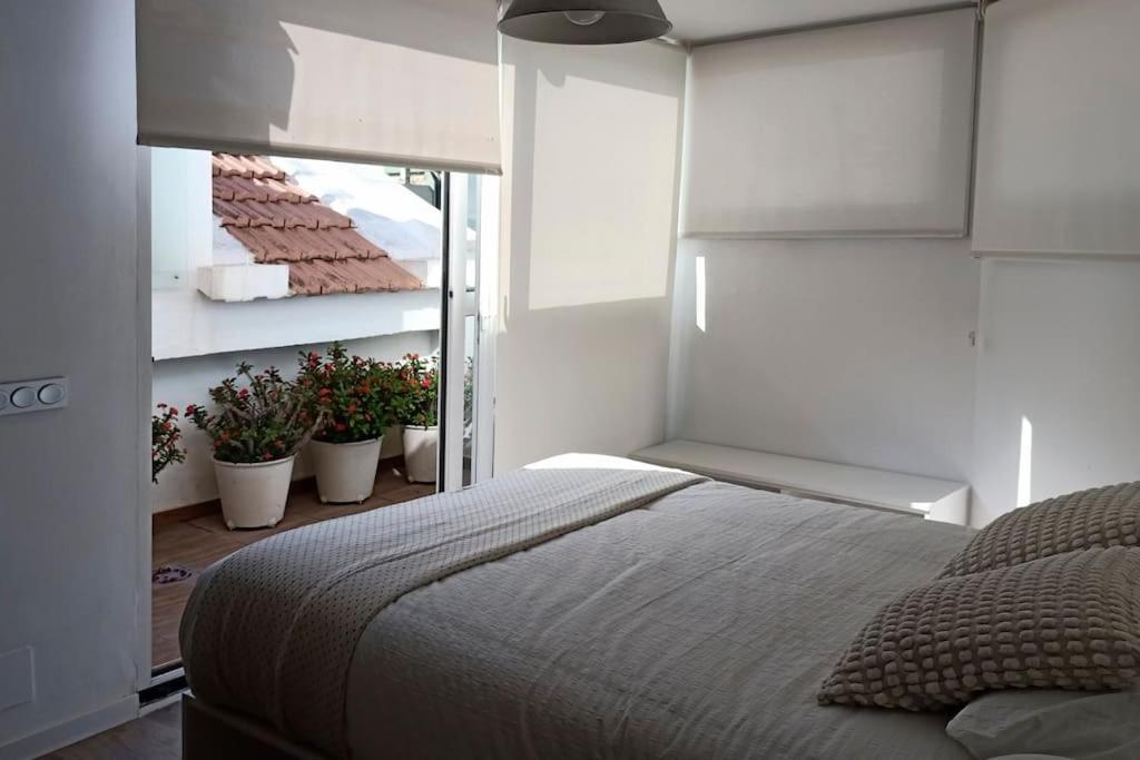 Apartmán Salitre Malaga Center Exteriér fotografie